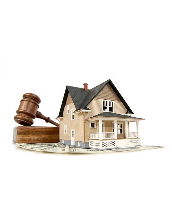 Real Estate & Infrastructure