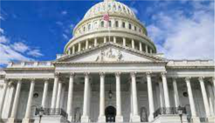 Government