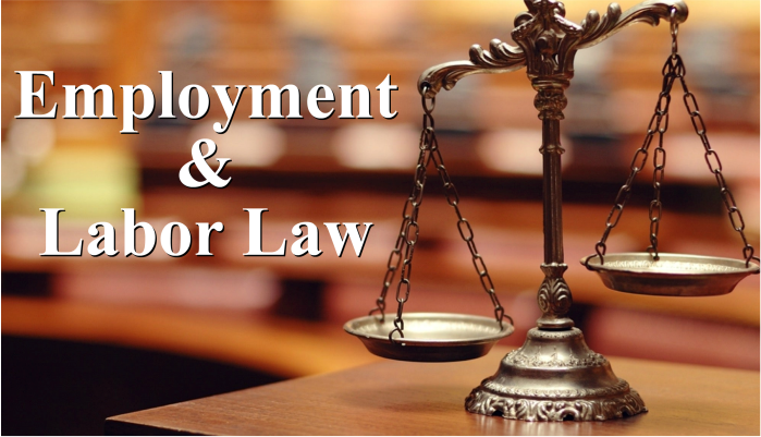 Labor & Employment